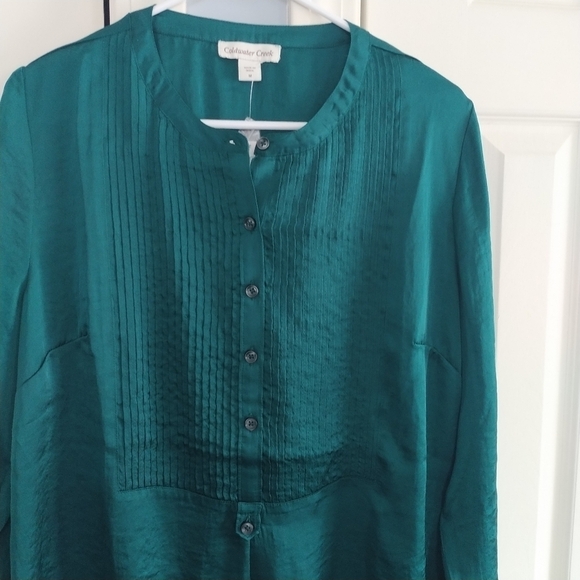 Coldwater Creek Forest Green Bib Front Pleated Blouse Tunic M - Picture 6 of 12